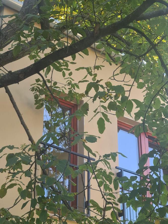 미슈콜츠 Palantir Panzio B&B 외부 사진